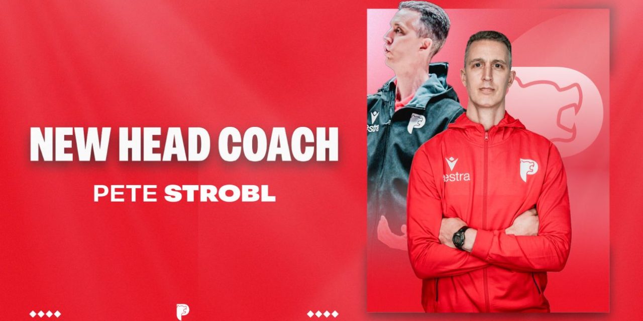 Pistoia Basket, ecco il sostituto di Sacripanti: Pete Strobl é il nuovo allenatore